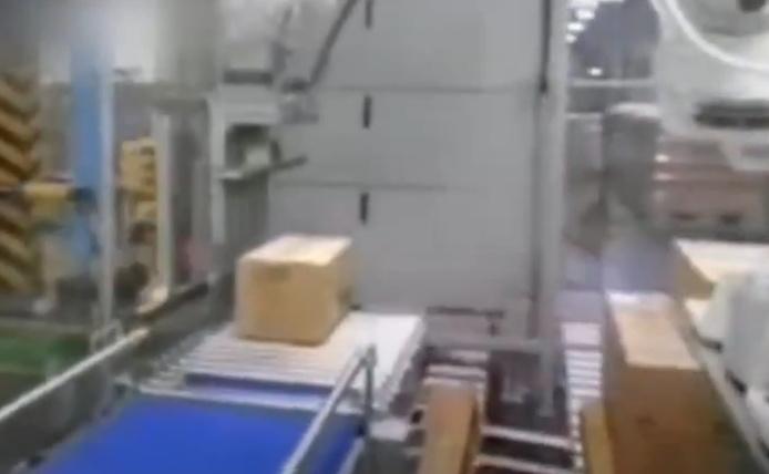 Toothpaste cartoning and palletizing production line video